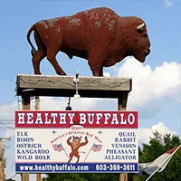 Healthy Buffalo, Chichester NH