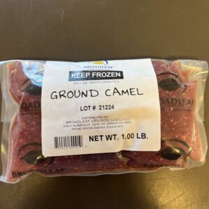 Camel Ground