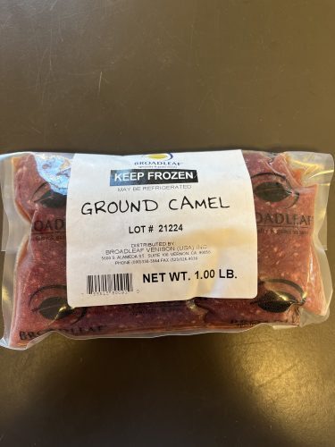 Camel Ground